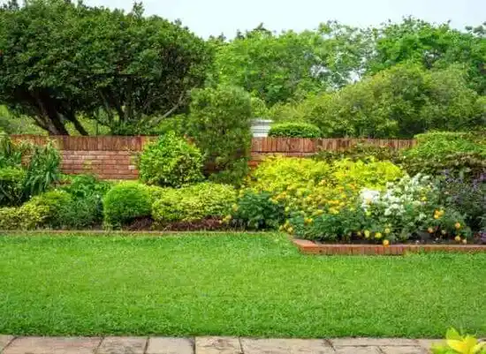 landscaping services Willards